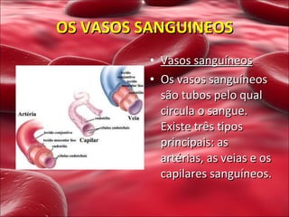 OS VASOS SANGUINEOS Vasos sanguíneos Os vasos sanguíneos são tubos pelo qual circula o sangue. Existe três tipos principais: as artérias, as veias e os capilares sanguíneos. 