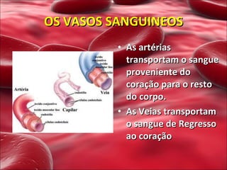 As artérias transportam o sangue proveniente do coração para o resto do corpo.  As Veias transportam o sangue de Regresso ao coração OS VASOS SANGUINEOS 