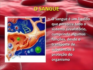 O sangue é um líquido que percorre todo o sistema circulatório, cumprindo algumas funções, desde o transporte de substâncias à proteção do organismo  O SANGUE 