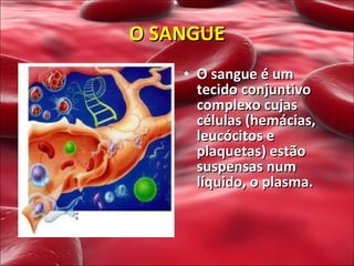 O sangue é um tecido conjuntivo complexo cujas células (hemácias, leucócitos e plaquetas) estão suspensas num líquido, o plasma. O SANGUE 