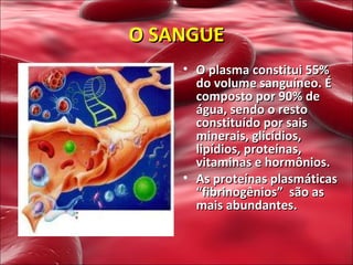 O plasma constitui 55% do volume sanguíneo. É composto por 90% de água, sendo o resto constituído por sais minerais, glicídios, lipídios, proteínas, vitaminas e hormônios.  As proteínas plasmáticas “fibrinogênios”  são as mais abundantes. O SANGUE 