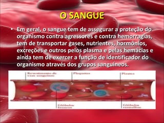 Em geral, o sangue tem de assegurar a proteção do organismo contra agressores e contra hemorragias, tem de transportar gases, nutrientes, hormônios, excreções e outros pelos plasma e pelas hemácias e ainda tem de exercer a função de identificador do organismo através dos grupos sanguíneos.  O SANGUE 