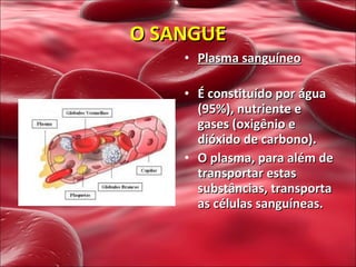 Plasma sanguíneo   É constituído por água (95%), nutriente e gases (oxigênio e dióxido de carbono). O plasma, para além de transportar estas substâncias, transporta as células sanguíneas. O SANGUE 