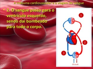 A máquina cardiovascular e a viagem do sangue 2. O sangue passa para o ventrículo esquerdo, sendo daí bombeado para todo o corpo. 