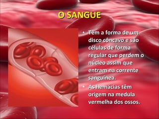 Têm a forma de um disco côncavo e são células de forma regular que perdem o núcleo assim que entram na corrente sanguínea. As hemácias têm origem na medula vermelha dos ossos. O SANGUE 