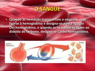 O SANGUE Quando as hemácias transportam o oxigénio, este liga-se à hemoglobina e designa-se a esta ligação Oxi-hemoglobina, e quando as hemácias se ligam ao dióxido de carbono, designa-se Carbo-hemoglobina.  