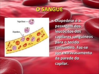 Diapedese é a passagem dos leucócitos dos capilares sanguíneos para o tecido conjuntivo. Faz-se por extravasamento da parede do capilar.   O SANGUE 