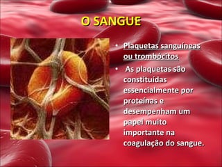 Plaquetas sanguíneas ou trombócitos   As plaquetas são constituídas essencialmente por proteínas e desempenham um papel muito importante na coagulação do sangue. O SANGUE 