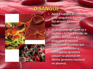 Após a ruptura de uma vaso sanguíneo, o sangue flui através da zona lesionada. As plaquetas agrupam-se e ajudam a fechar a ferida. os tecidos afetados e as plaquetas produzem substâncias químicas que ajudam a converter o fibrinogênio (proteína solúvel no plasma) em fibrina (proteína insolúvel no plasma). O SANGUE 