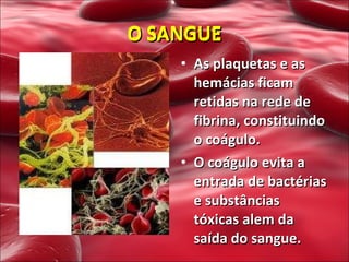 As plaquetas e as hemácias ficam retidas na rede de fibrina, constituindo o coágulo. O coágulo evita a entrada de bactérias e substâncias tóxicas alem da  saída do sangue. O SANGUE O SANGUE 