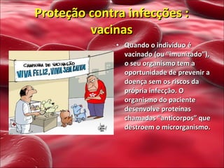 Quando o indivíduo é vacinado (ou “imunizado”), o seu organismo tem a oportunidade de prevenir a doença sem os riscos da própria infecção. O organismo do paciente desenvolve proteínas  chamadas “anticorpos” que destroem o microrganismo.  Proteção contra infecções : vacinas 