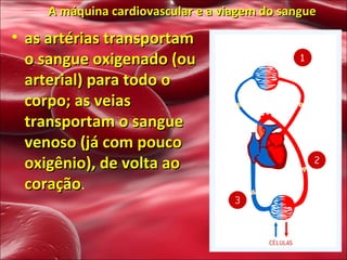 A máquina cardiovascular e a viagem do sangue as artérias transportam o sangue oxigenado (ou arterial) para todo o corpo; as veias transportam o sangue venoso (já com pouco oxigênio), de volta ao coração .  