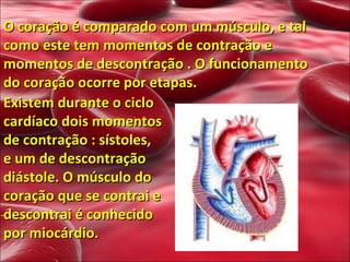 O coração é comparado com um músculo, e tal como este tem momentos de contração e momentos de descontração . O funcionamento do coração ocorre por etapas.  Existem durante o ciclo cardíaco dois momentos de contração : sístoles,  e um de descontração diástole. O músculo do coração que se contrai e descontrai é conhecido por miocárdio. 