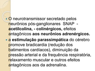  O neurotransmissor secretado pelos
neurônios pós-ganglionares SNAP -
acetilcolina, - colinérgicos, efeitos
antagônicos aos neurônios adrenérgicos.
 a estimulação parassimpática do cérebro
promove bradicardia (redução dos
batimentos cardíacos), diminuição da
pressão arterial e da frequência respiratória,
relaxamento muscular e outros efeitos
antagônicos aos da adrenalina.
 