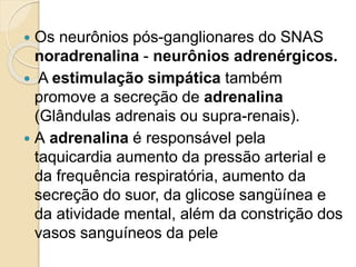  Os neurônios pós-ganglionares do SNAS
noradrenalina - neurônios adrenérgicos.
 A estimulação simpática também
promove a secreção de adrenalina
(Glândulas adrenais ou supra-renais).
 A adrenalina é responsável pela
taquicardia aumento da pressão arterial e
da frequência respiratória, aumento da
secreção do suor, da glicose sangüínea e
da atividade mental, além da constrição dos
vasos sanguíneos da pele
 