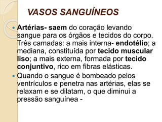 VASOS SANGUÍNEOS
 Artérias- saem do coração levando
sangue para os órgãos e tecidos do corpo.
Três camadas: a mais interna- endotélio; a
mediana, constituída por tecido muscular
liso; a mais externa, formada por tecido
conjuntivo, rico em fibras elásticas.
 Quando o sangue é bombeado pelos
ventrículos e penetra nas artérias, elas se
relaxam e se dilatam, o que diminui a
pressão sanguínea -
 