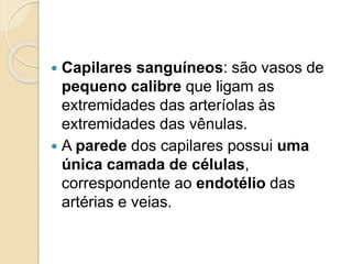  Capilares sanguíneos: são vasos de
pequeno calibre que ligam as
extremidades das arteríolas às
extremidades das vênulas.
 A parede dos capilares possui uma
única camada de células,
correspondente ao endotélio das
artérias e veias.
 