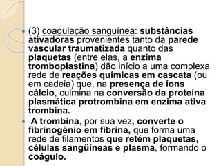  (3) coagulação sanguínea: substâncias
ativadoras provenientes tanto da parede
vascular traumatizada quanto das
plaquetas (entre elas, a enzima
tromboplastina) dão início a uma complexa
rede de reações químicas em cascata (ou
em cadeia) que, na presença de íons
cálcio, culmina na conversão da proteína
plasmática protrombina em enzima ativa
trombina.
 A trombina, por sua vez, converte o
fibrinogênio em fibrina, que forma uma
rede de filamentos que retém plaquetas,
células sangüíneas e plasma, formando o
coágulo.
 