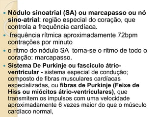  Nódulo sinoatrial (SA) ou marcapasso ou nó
sino-atrial: região especial do coração, que
controla a frequência cardíaca.
 frequência rítmica aproximadamente 72bpm
contrações por minuto
 o ritmo do nódulo SA torna-se o ritmo de todo o
coração: marcapasso.
 Sistema De Purkinje ou fascículo átrio-
ventricular - sistema especial de condução;
composto de fibras musculares cardíacas
especializadas, ou fibras de Purkinje (Feixe de
Hiss ou miócitos átrio-ventriculares), que
transmitem os impulsos com uma velocidade
aproximadamente 6 vezes maior do que o músculo
cardíaco normal,
 