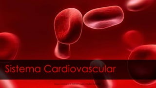 Sistema Cardiovascular
Alunos: Carolina G. B., Gabriel T., Juan J., Paulo Z. e Wendy T.
 
