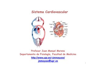 1
Sistema Cardiovascular
Profesor Juan Manuel Moreno
Departamento de Fisiología, Facultad de Medicina
http://www.ugr.es/~jmmayuso/
jmmayuso@ugr.es
 