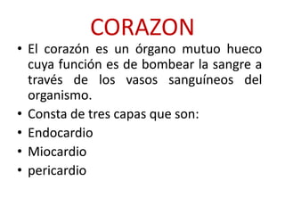 CORAZON
• El corazón es un órgano mutuo hueco
  cuya función es de bombear la sangre a
  través de los vasos sanguíneos del
  organismo.
• Consta de tres capas que son:
• Endocardio
• Miocardio
• pericardio
 