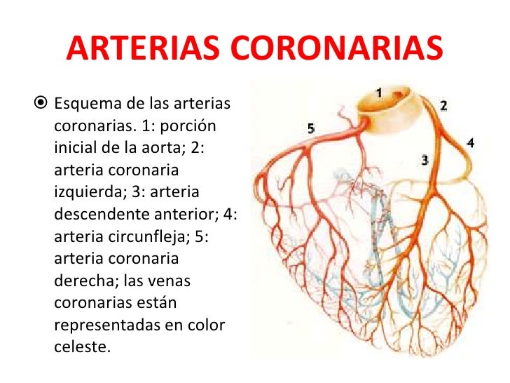 suzuki motorcycle wallpaper hd