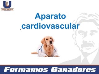 Aparato
cardiovascular
 