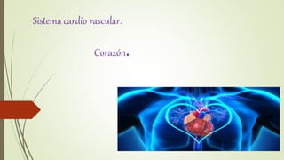 Sistema cardio vascular.
Corazón.
 