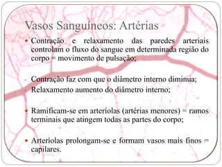Vasos Sanguíneos: Artérias
 Contração  e relaxamento das paredes arteriais
 controlam o fluxo do sangue em determinada região do
 corpo = movimento de pulsação;

- Contração faz com que o diâmetro interno diminua;
- Relaxamento aumento do diâmetro interno;


 Ramificam-se em arteríolas (artérias menores) = ramos
 terminais que atingem todas as partes do corpo;

 Arteríolas prolongam-se e formam vasos mais finos =
 capilares.
 