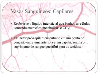 Vasos Sanguíneos: Capilares

 Reabsorve o líquido intersticial que banhou as células
  contendo excreções metabólicas e CO2;

 Esfíncter pré-capilar: encontrado em um ponto de
  conexão entre uma arteríola e um capilar, regula o
  suprimento de sangue que aflui para os tecidos;
 