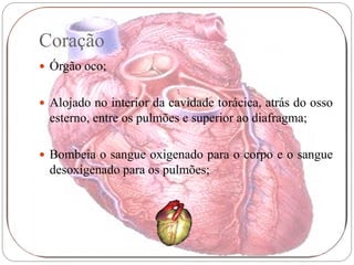 Coração
 Órgão oco;


 Alojado no interior da cavidade torácica, atrás do osso
  esterno, entre os pulmões e superior ao diafragma;

 Bombeia o sangue oxigenado para o corpo e o sangue
  desoxigenado para os pulmões;
 