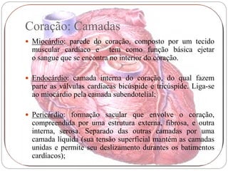 Coração: Camadas
 Miocárdio: parede do coração, composto por um tecido
 muscular cardíaco e tem como função básica ejetar
 o sangue que se encontra no interior do coração.

 Endocárdio: camada interna do coração, do qual fazem
 parte as válvulas cardíacas bicúspide e tricúspide. Liga-se
 ao miocárdio pela camada subendotelial;

 Pericárdio: formação sacular que envolve o coração,
 compreendida por uma estrutura externa, fibrosa, e outra
 interna, serosa. Separado das outras camadas por uma
 camada líquida (sua tensão superficial mantém as camadas
 unidas e permite seu deslizamento durantes os batimentos
 cardíacos);
 
