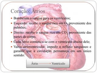 Coração: Átrios
 Bombeiam o sangue para os ventrículos;
 Esquerdo: recebe o sangue rico em O2 proveniente dos
  pulmões;
 Direito: recebe o sangue rico em CO2 proveniente das
  partes do corpo;
 Cada Átrio comunica-se com o ventrículo abaixo dele;
 Valva atrioventricular: impedir o refluxo sanguíneo e
  garantir que a circulação permaneça em um único
  sentido:

             Átrio         Ventrículo
 
