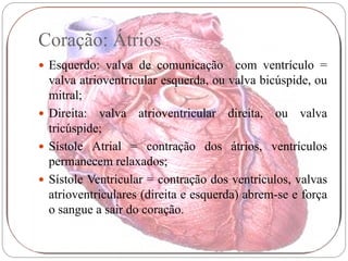 Coração: Átrios
 Esquerdo: valva de comunicação        com ventrículo =
  valva atrioventricular esquerda, ou valva bicúspide, ou
  mitral;
 Direita: valva atrioventricular direita, ou valva
  tricúspide;
 Sístole Atrial = contração dos átrios, ventrículos
  permanecem relaxados;
 Sístole Ventricular = contração dos ventrículos, valvas
  atrioventriculares (direita e esquerda) abrem-se e força
  o sangue a sair do coração.
 