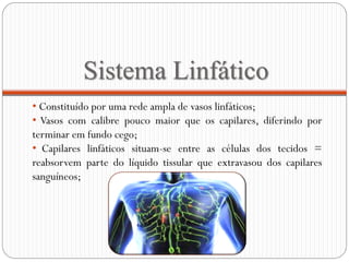 Sistema Linfático
• Constituído por uma rede ampla de vasos linfáticos;
• Vasos com calibre pouco maior que os capilares, diferindo por
terminar em fundo cego;
• Capilares linfáticos situam-se entre as células dos tecidos =
reabsorvem parte do líquido tissular que extravasou dos capilares
sanguíneos;
 