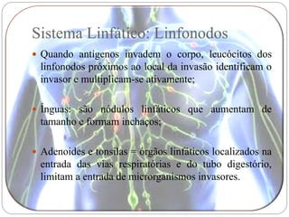 Sistema Linfático: Linfonodos
 Quando antígenos invadem o corpo, leucócitos dos
  linfonodos próximos ao local da invasão identificam o
  invasor e multiplicam-se ativamente;

 Ínguas: são nódulos linfáticos que aumentam de
  tamanho e formam inchaços;

 Adenoides e tonsilas = órgãos linfáticos localizados na
  entrada das vias respiratórias e do tubo digestório,
  limitam a entrada de microrganismos invasores.
 