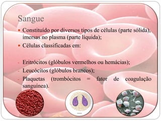Sangue
 Constituído por diversos tipos de células (parte sólida),
  imersas no plasma (parte líquida);
 Células classificadas em:


- Eritrócitos (glóbulos vermelhos ou hemácias);
- Leucócitos (glóbulos brancos);
- Plaquetas     (trombócitos   =   fator   de   coagulação
  sanguínea).
 
