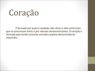 Coração
É formado por quatro cavidade, dois átrios e dois ventrículos
que se comunicam entre si por válvulas atrioventriculares. O coração é
formado pelo tecido muscular estriado cardíaco denominado de
miocárdio.
 