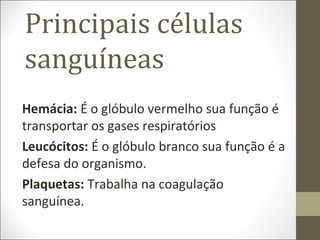 Principais células
sanguíneas
Hemácia: É o glóbulo vermelho sua função é
transportar os gases respiratórios
Leucócitos: É o glóbulo branco sua função é a
defesa do organismo.
Plaquetas: Trabalha na coagulação
sanguínea.
 