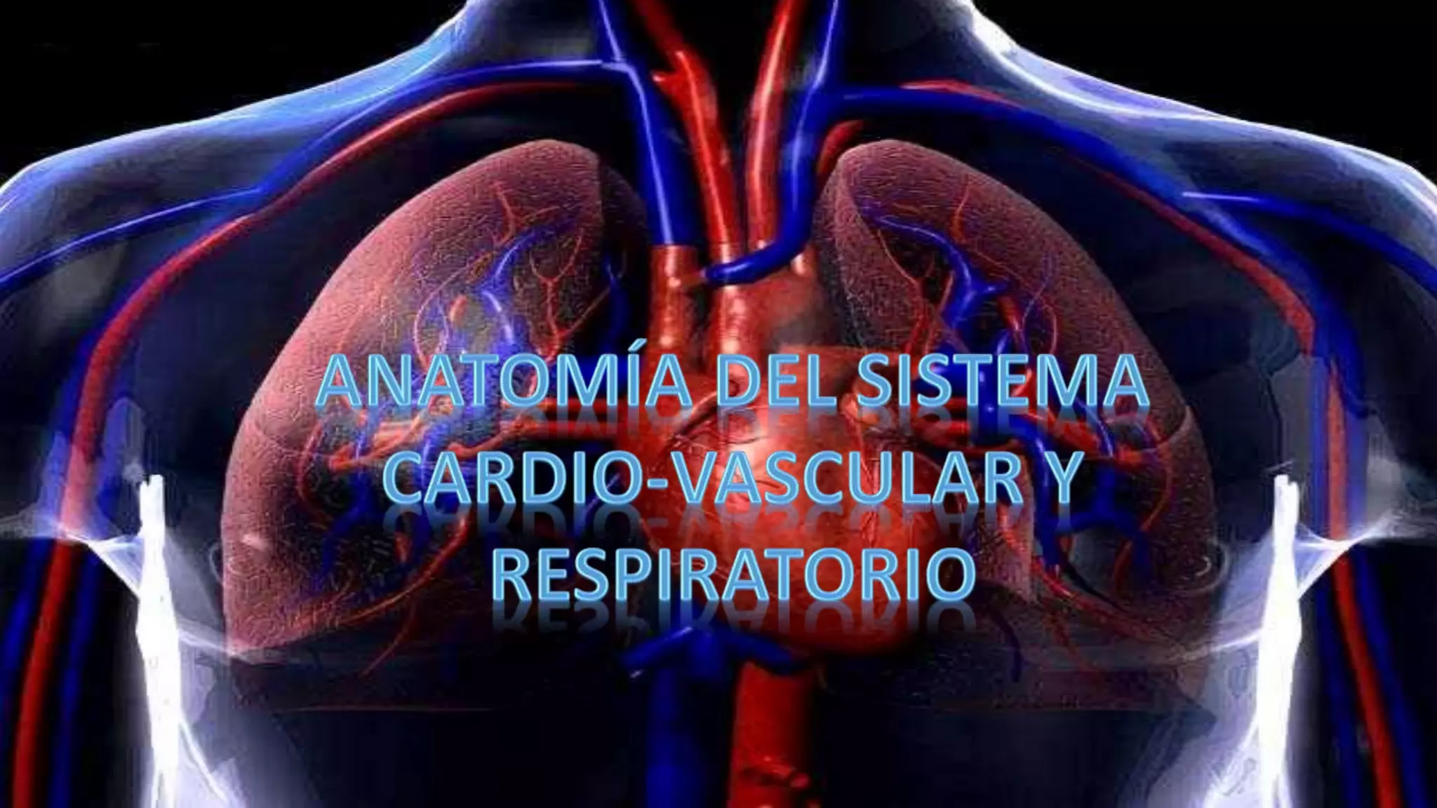 generalidades del sistema cardiovascular y respiratorio | PPT ...