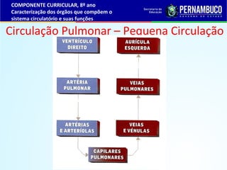 Circulação Pulmonar – Pequena Circulação
COMPONENTE CURRICULAR, 8º ano
Caracterização dos órgãos que compõem o
sistema cir...