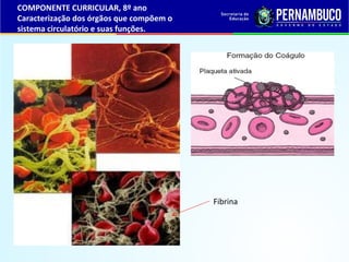 Fibrina
COMPONENTE CURRICULAR, 8º ano
Caracterização dos órgãos que compõem o
sistema circulatório e suas funções.
 