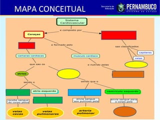MAPA CONCEITUAL
 