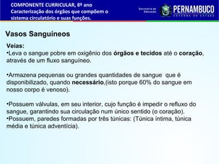 Vasos Sanguíneos
Veias:
•Leva o sangue pobre em oxigênio dos órgãos e tecidos até o coração,
através de um fluxo sanguíneo...