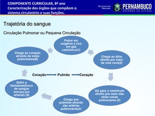 Trajetória do sangueTrajetória do sangue
Circulação Pulmonar ou Pequena CirculaçãoCirculação Pulmonar ou Pequena Circulação
Coração Pulmão Coração
COMPONENTE CURRICULAR, 8º ano
Caracterização dos órgãos que compõem o
sistema circulatório e suas funções.
 