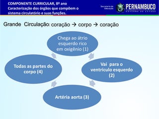 Grande CirculaçãoGrande Circulação:: coração  corpo  coração
COMPONENTE CURRICULAR, 8º ano
Caracterização dos órgãos que compõem o
sistema circulatório e suas funções.
 