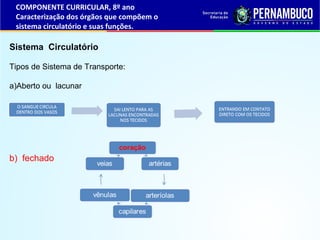 Sistema Circulatório
Tipos de Sistema de Transporte:
a)Aberto ou lacunar
b) fechado
COMPONENTE CURRICULAR, 8º ano
Caracter...