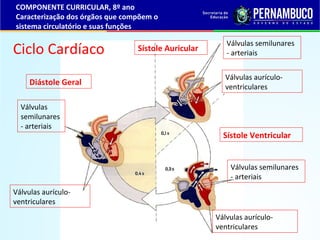 Diástole Geral
Sístole Auricular
Sístole Ventricular
Válvulas
semilunares
- arteriais
Válvulas aurículo-
ventriculares
Válvulas semilunares
- arteriais
Válvulas aurículo-
ventriculares
Válvulas aurículo-
ventriculares
Válvulas semilunares
- arteriais
Ciclo Cardíaco
COMPONENTE CURRICULAR, 8º ano
Caracterização dos órgãos que compõem o
sistema circulatório e suas funções
 
