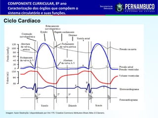 Ciclo Cardíaco
COMPONENTE CURRICULAR, 8º ano
Caracterização dos órgãos que compõem o
sistema circulatório e suas funções.
...